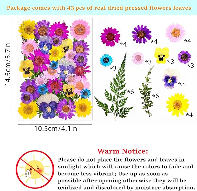 Cardstock Blank Bookmarks Set, 12 Pcs DIY White Craft Bookmarks for Pressed Flowers, Dried Flower Bookmark Making Kit with 43 Pcs Pressed Flowers, 12 Pcs Tassels, DIY Bookmarks for Dried Flowers