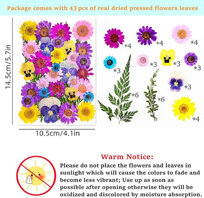 Cardstock Blank Bookmarks Set, 12 Pcs DIY White Craft Bookmarks for Pressed Flowers, Dried Flower Bookmark Making Kit with 43 Pcs Pressed Flowers, 12 Pcs Tassels, DIY Bookmarks for Dried Flowers