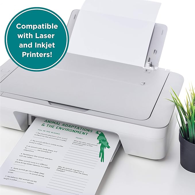 Elementree Printing Paper 8.5 x 11 White, 20 lb, Pallet, 75 Cartons, 375 Reams, 187500 Sheets of Recycled Printer Paper, Made in the USA (00918PAL)