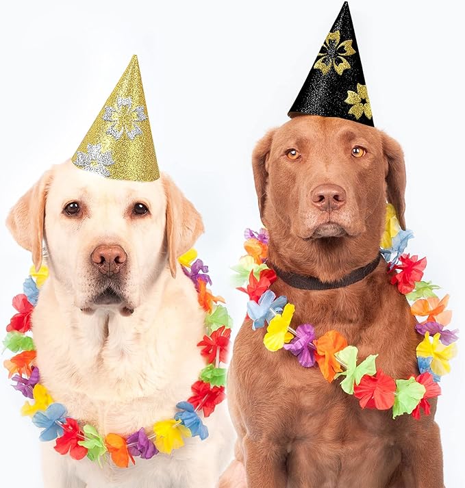 24 Sheets Black Glitter Cardstock Paper, A4 Premium Sparkly Paper for Scrapbook, DIY Projects, Party Decoration, Gift Box Wrapping 250GSM/92lb