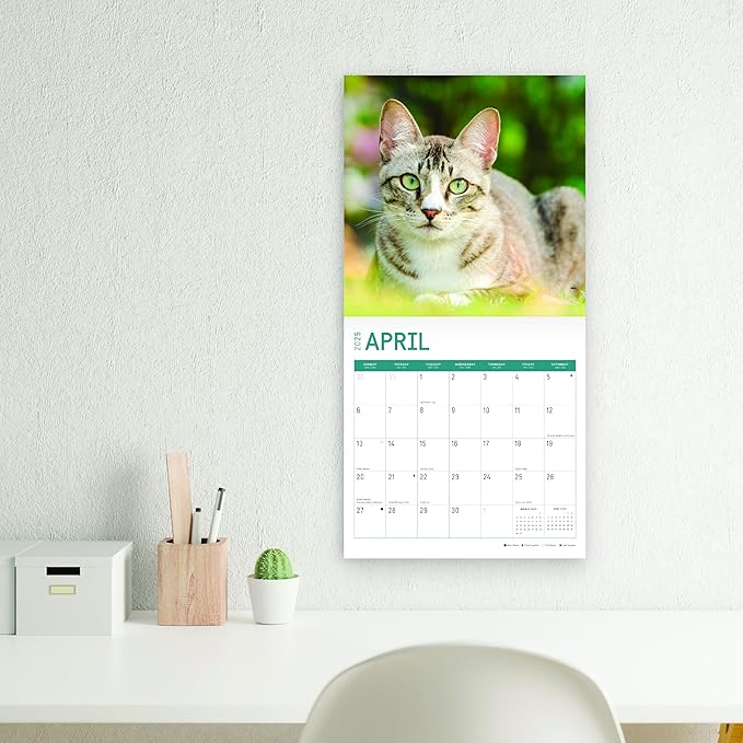 2025 Cats Monthly Wall Calendar by Bright Day, Includes Over 300 Stickers, 12 x 12 Inch