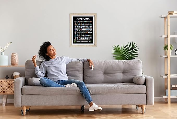 Bright Standards National Parks Scratch Off Map of United States Poster, ALL 63 National Parks Map, US Travel Maps, USA Gifts for Travelers Road Trip Adventure, Fits 12”x16” frame (Black/Gold)