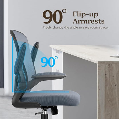 FelixKing Office Chair, Ergonomic Desk Chairs with Wheels Home Mesh Chair Adjustable Lumbar Support and Height, Ergo Chair for Working Gaming Use (Dark Gray)