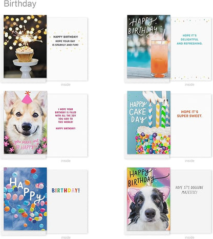 Recycled Paper Greetings 30-Count Funny Birthday Card Assortment with Envelopes, Seals, and Storage Box by Vicky Barone