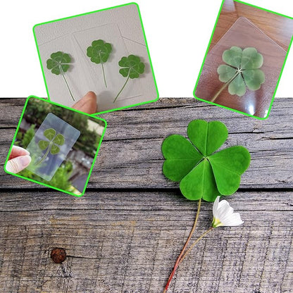 Genuine Real Four Leaf Clover Card Bookmark, Five Leaf Clover Card, Good Luck Gift Card, Invitation Card in Envelope, Good Luck Charm Deco (Big Four-Leaf Clover)