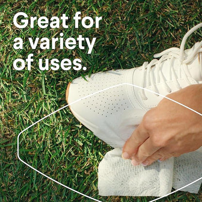 Clorox Disinfecting Wipes Value Pack, Bleach Free Cleaning Wipes, 75 Count Each, Pack of 4