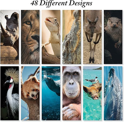 JBH Creations Around The World Animal Bookmarks - Pack of 48