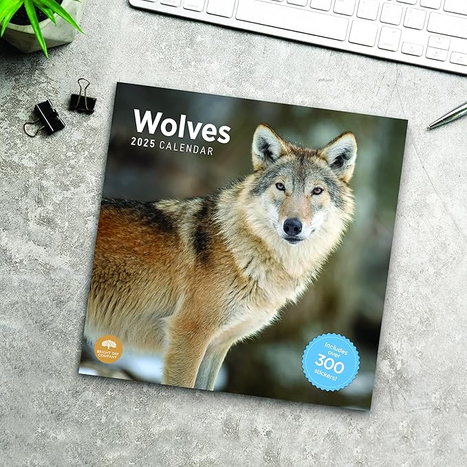 2025 Wolves Monthly Wall Calendar by Bright Day, Includes Over 300 Stickers, 12 x 12 Inch