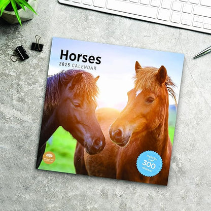 2025 Horses Monthly Wall Calendar by Bright Day, Includes Over 300 Stickers, 12 x 12 Inch