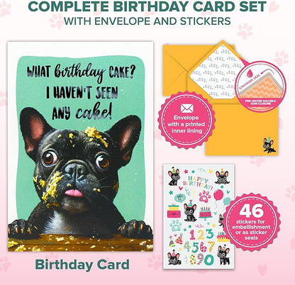 Decorably 5x7in Individual Humorous Dog Birthday Card with Embossed Design, Funny Dog Birthday Cards Set with Envelope and Stickers, with Printed Message Inside