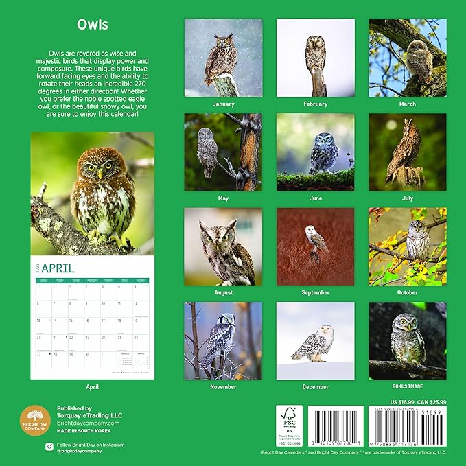 2025 Owls Monthly Wall Calendar by Bright Day, Includes Over 300 Stickers, 12 x 12 Inch