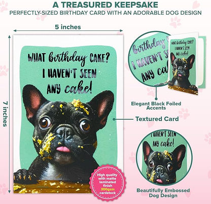 Decorably 5x7in Individual Humorous Dog Birthday Card with Embossed Design, Funny Dog Birthday Cards Set with Envelope and Stickers, with Printed Message Inside