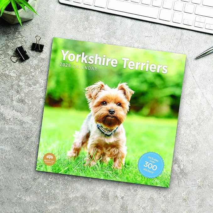2025 Yorkshire Terriers Monthly Wall Calendar by Bright Day, Includes Over 300 Stickers, 12 x 12 Inch