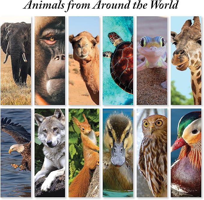 JBH Creations Around The World Animal Bookmarks - Pack of 48