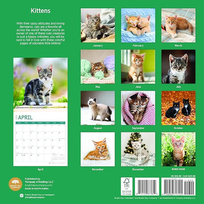 2025 Kittens Monthly Wall Calendar by Bright Day, Includes Over 300 Stickers, 12 x 12 Inch