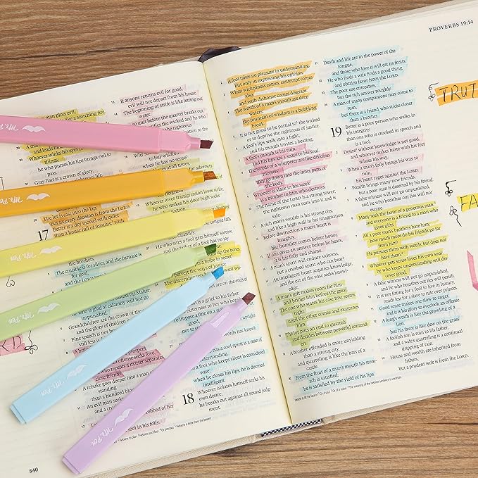 Mr. Pen Aesthetic Highlighter Pens - 12 Pack, Pastel Color No Bleed, Black Ink Bible Pens for Bibles