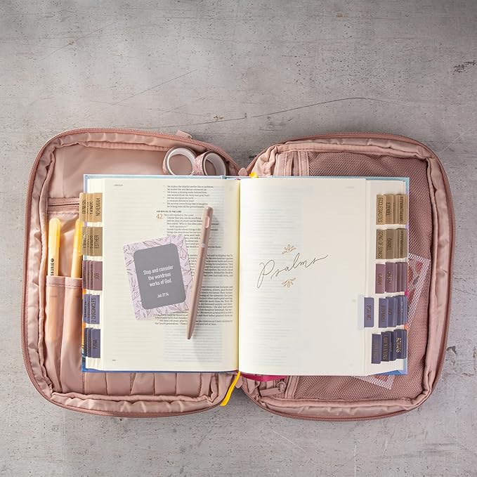 DiverseBee Large Bible Cover with Handles, Bible Carrying Case for Women, Bible Tote Bag, Book Cover, Bible Accessories Gift (Pink)