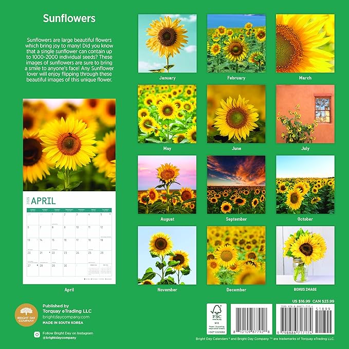 2025 Sunflowers Monthly Wall Calendar by Bright Day, Includes Over 300 Stickers, 12 x 12 Inch