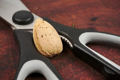 RSVP International Endurance Kitchen Collection Stainless Steel Scissors, 8.25x3.25"