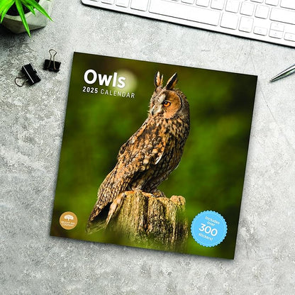 2025 Owls Monthly Wall Calendar by Bright Day, Includes Over 300 Stickers, 12 x 12 Inch