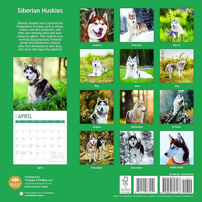 2025 Siberian Huskies Monthly Wall Calendar by Bright Day, Includes Over 300 Stickers, 12 x 12 Inch