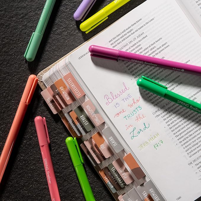 DIVERSEBEE Fine Tip Pens, 8 Bible Pens No Bleed Through, Assorted Fine Point Pens for Journaling, 0.5mm Fineliner Markers, Bible Study Journaling Supplies, Bible Accessories (Spring)