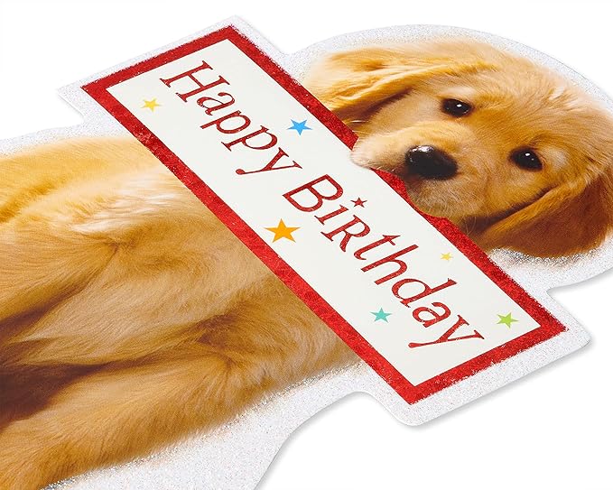 American Greetings Birthday Card (Couldn't Ever Forget)