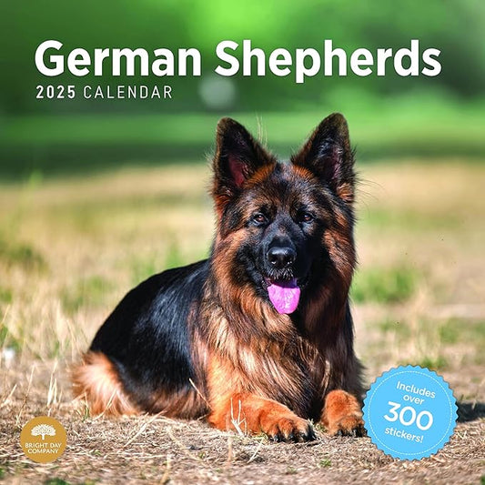 2025 German Shepherds Monthly Wall Calendar by Bright Day, Includes Over 300 Stickers, 12 x 12 Inch