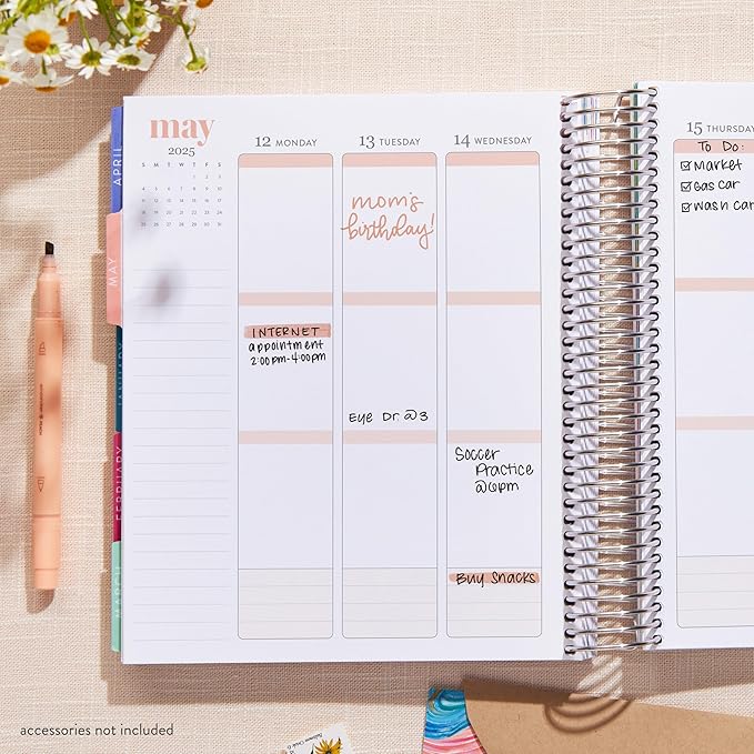 Erin Condren 12-Month Spiral Life Planner (Jan 2025 - Dec 2025) | 7x9 Weekly Planner with Monthly Calendars | Canvas Asterisk Covers, Evolve Interior, Vertical Layout, Platinum Coil