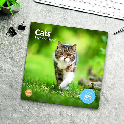 2025 Cats Monthly Wall Calendar by Bright Day, Includes Over 300 Stickers, 12 x 12 Inch