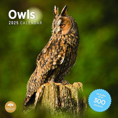 2025 Owls Monthly Wall Calendar by Bright Day, Includes Over 300 Stickers, 12 x 12 Inch