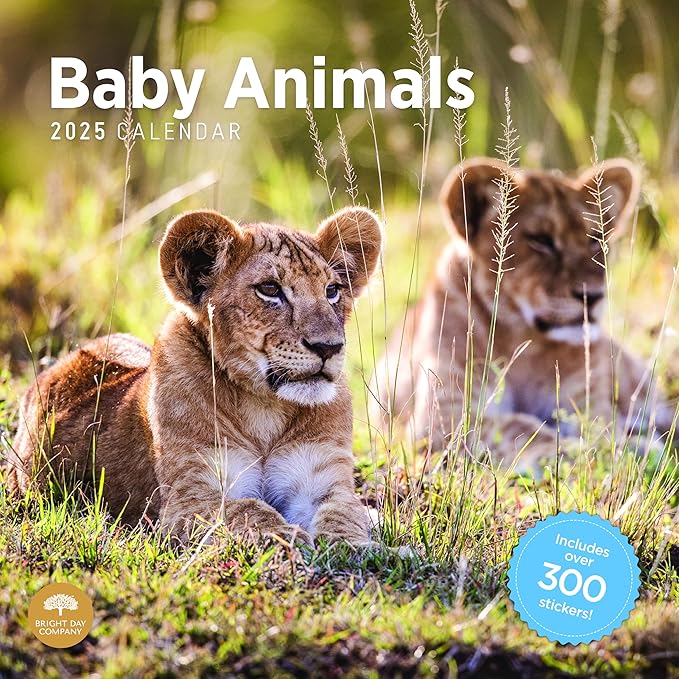 2025 Baby Animals Monthly Wall Calendar by Bright Day, Includes Over 300 Stickers, 12 x 12 Inch