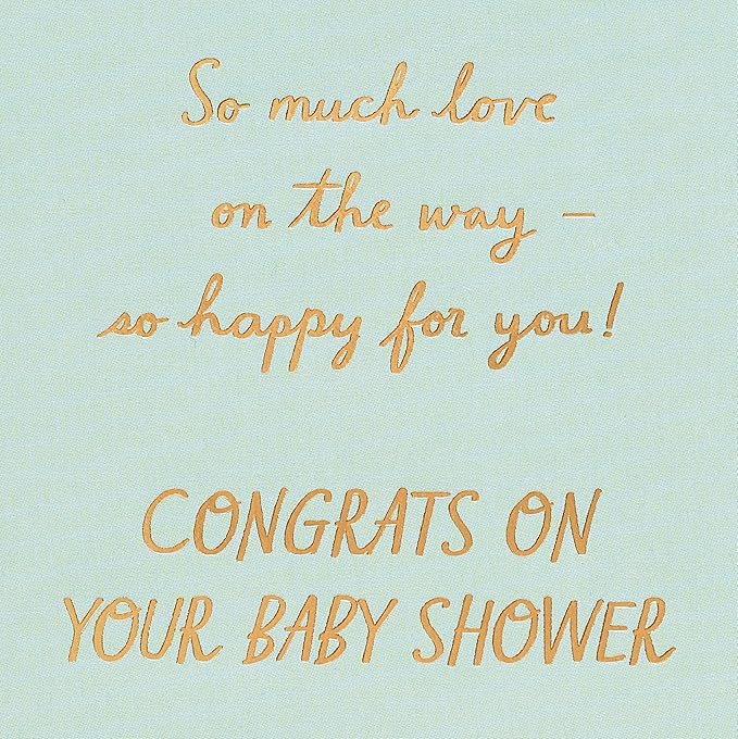 American Greetings Baby Shower Card (Love on the Way)