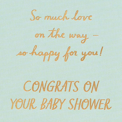 American Greetings Baby Shower Card (Love on the Way)