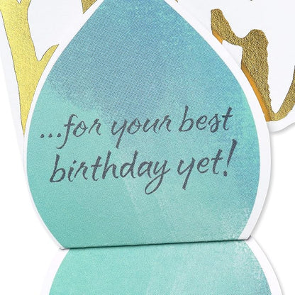 American Greetings Birthday Card (Great Big Wish)